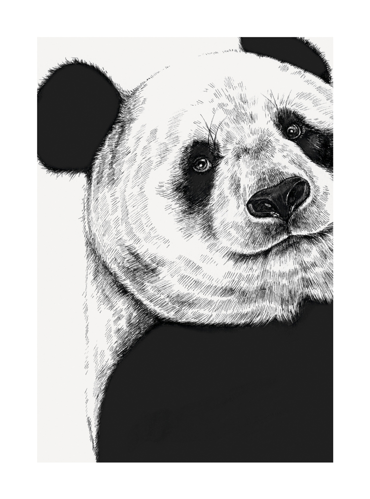 Panda, Greeting Card