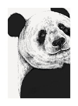 Panda, Greeting Card