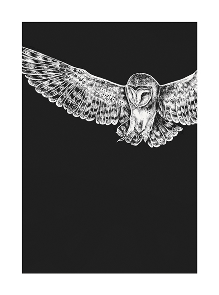 Owl, Greeting Card