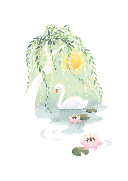 Swan On Lake, Greeting Card