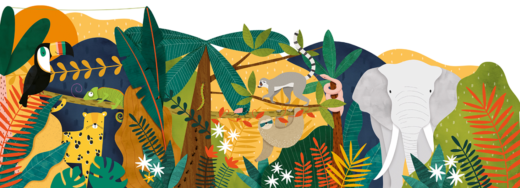 Z-Fold Jungle, Greeting Card