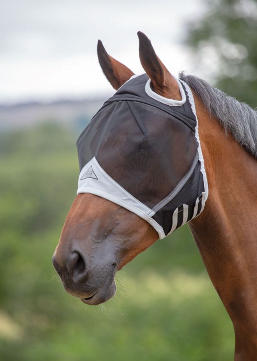 Shires Flughuva med öronhål