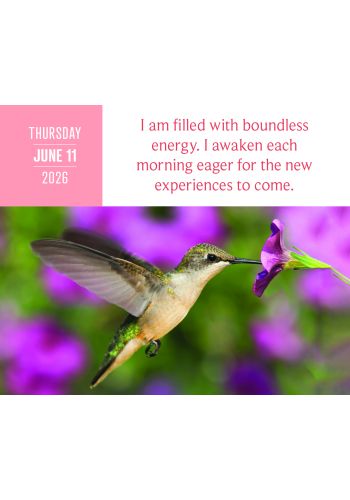 I Can Do It 2026 Calendar ,  365 Daily Affirmations - 4