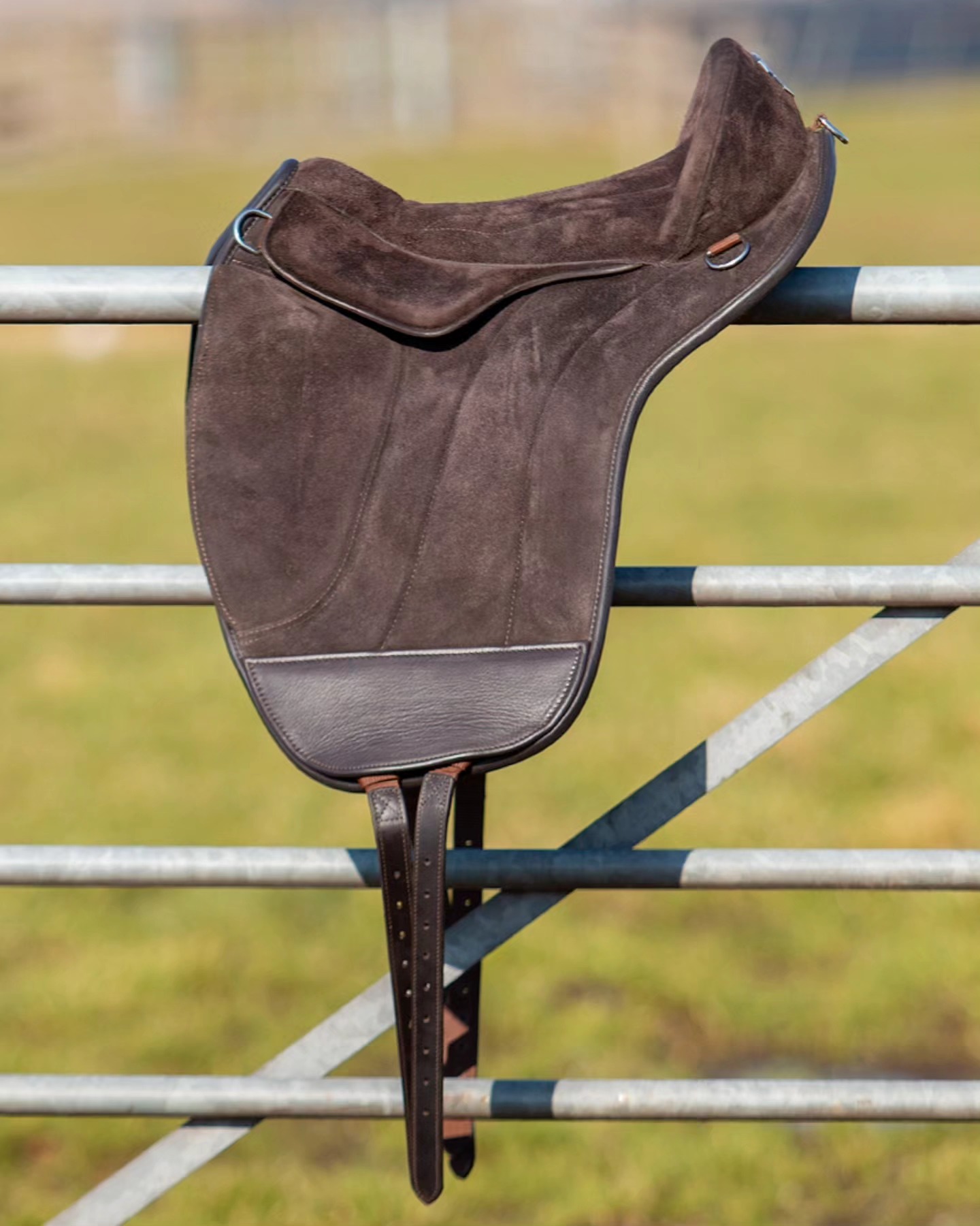 217. EDIX Union bareback pad /saddle hybrid- Suede - 4