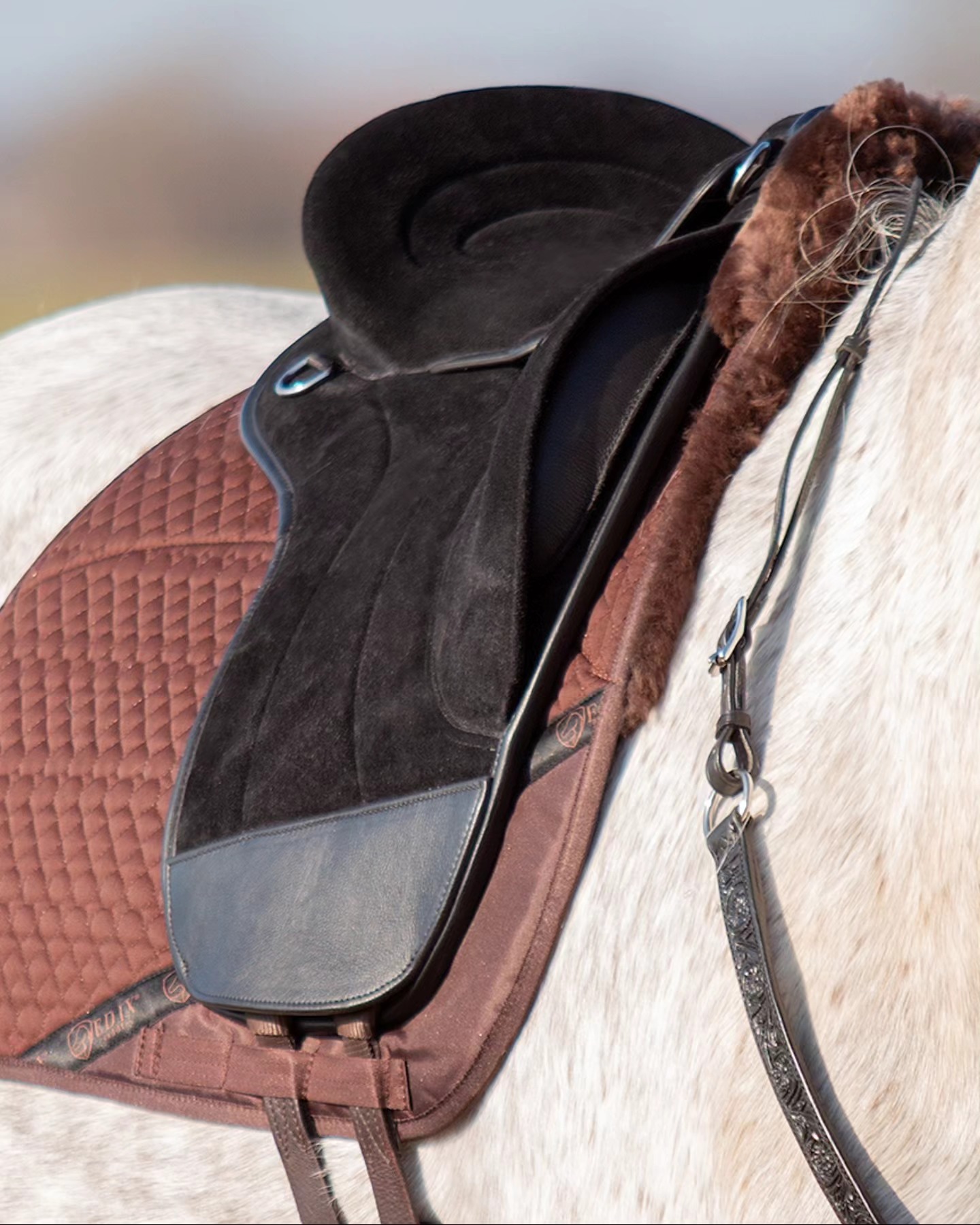 217. EDIX Union bareback pad /saddle hybrid- Suede - 10