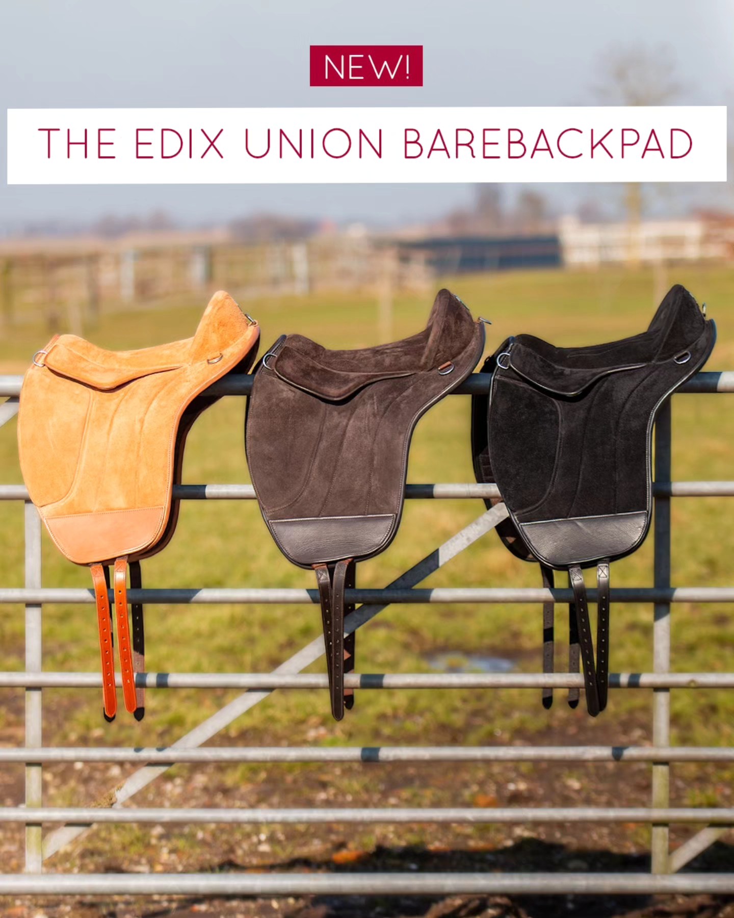 217. EDIX Union bareback pad /saddle hybrid- Suede - 2