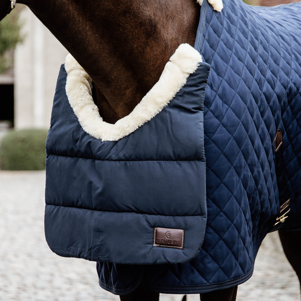 Kentucky BIB  Winter Bogskydd