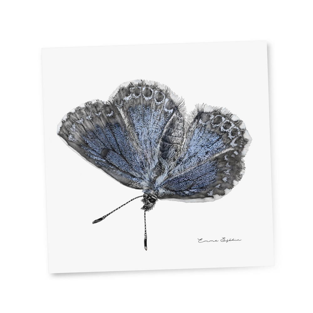 GIFTCARD BLUE BUTTERFLY