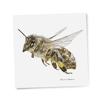GIFTCARD HONEY BEE