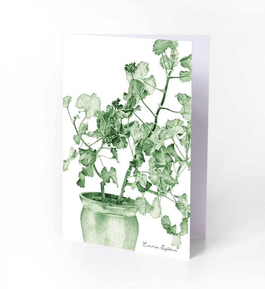 6-PIECE ARTCARDS WOODLAND STRAWBERRIES, BELLFLOWERS, DAISIES, WILD ROSE, BLUE & GREEN GERANIUM - 7