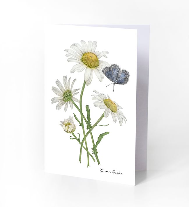 6-PIECE ARTCARDS WOODLAND STRAWBERRIES, BELLFLOWERS, DAISIES, WILD ROSE, BLUE & GREEN GERANIUM - 4