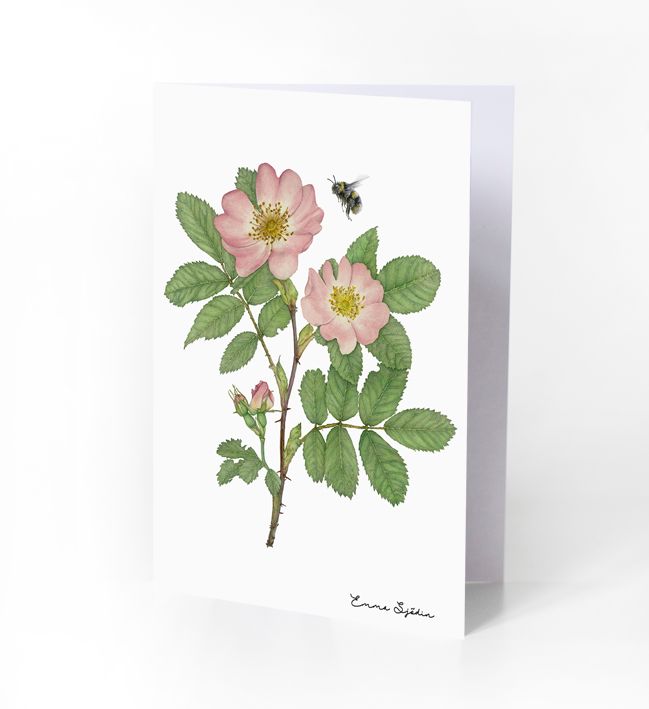 6-PIECE ARTCARDS WOODLAND STRAWBERRIES, BELLFLOWERS, DAISIES, WILD ROSE, BLUE & GREEN GERANIUM - 5