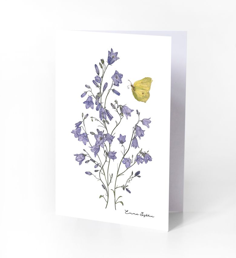 6-PIECE ARTCARDS WOODLAND STRAWBERRIES, BELLFLOWERS, DAISIES, WILD ROSE, BLUE & GREEN GERANIUM - 3