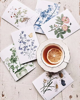 6-PIECE ARTCARDS WOODLAND STRAWBERRIES, BELLFLOWERS, DAISIES, WILD ROSE, BLUE & GREEN GERANIUM
