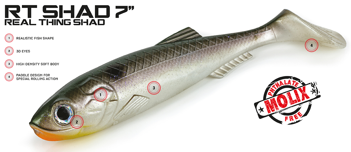 Molix Real Thing Shad 18 cm  - 2