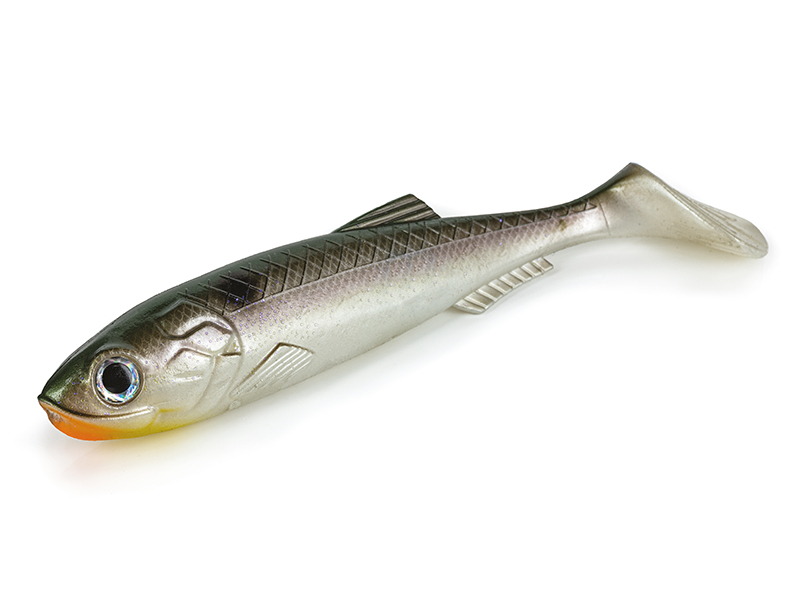 Molix Real Thing Shad 18 cm  - 3