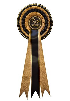 1034 - Rosette, gold, silber, bronze metallic, 40 cm