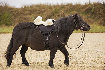 Barefoot® Fårullssäte till Ride-on-Pad Shettis