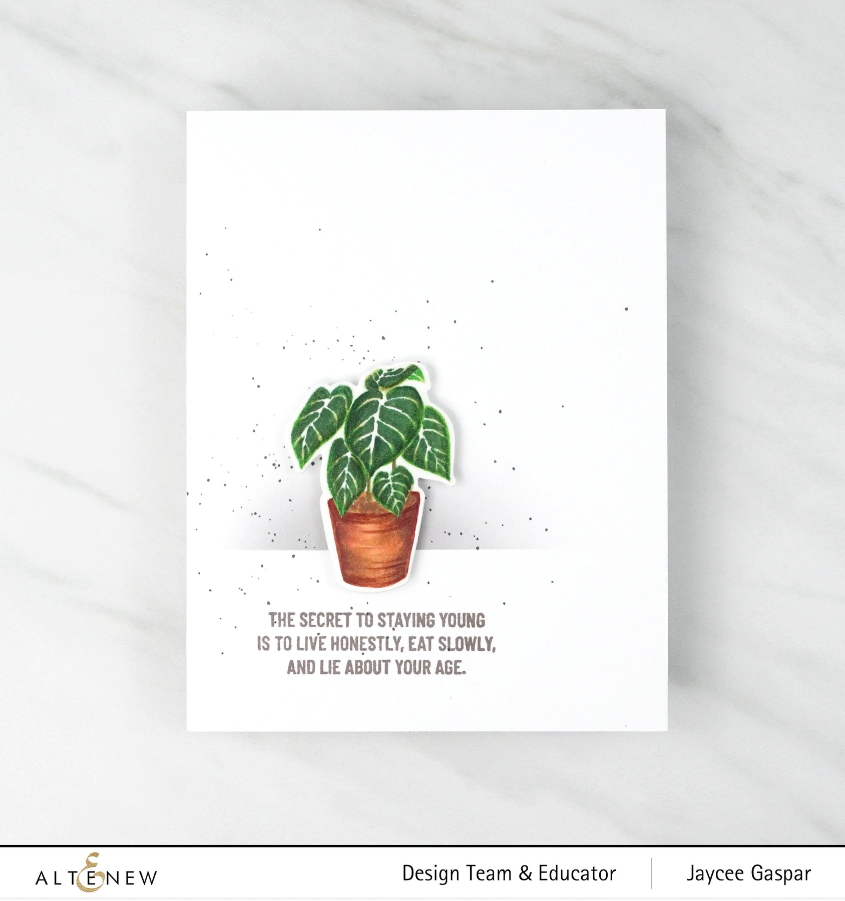ALTENEW -Adorable Anthurium Stamp Set - 10