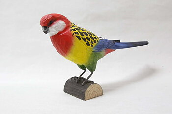 Eastern rosella bird 26x6x16 cm