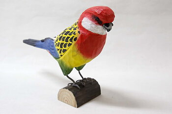 Eastern rosella bird 26x6x16 cm