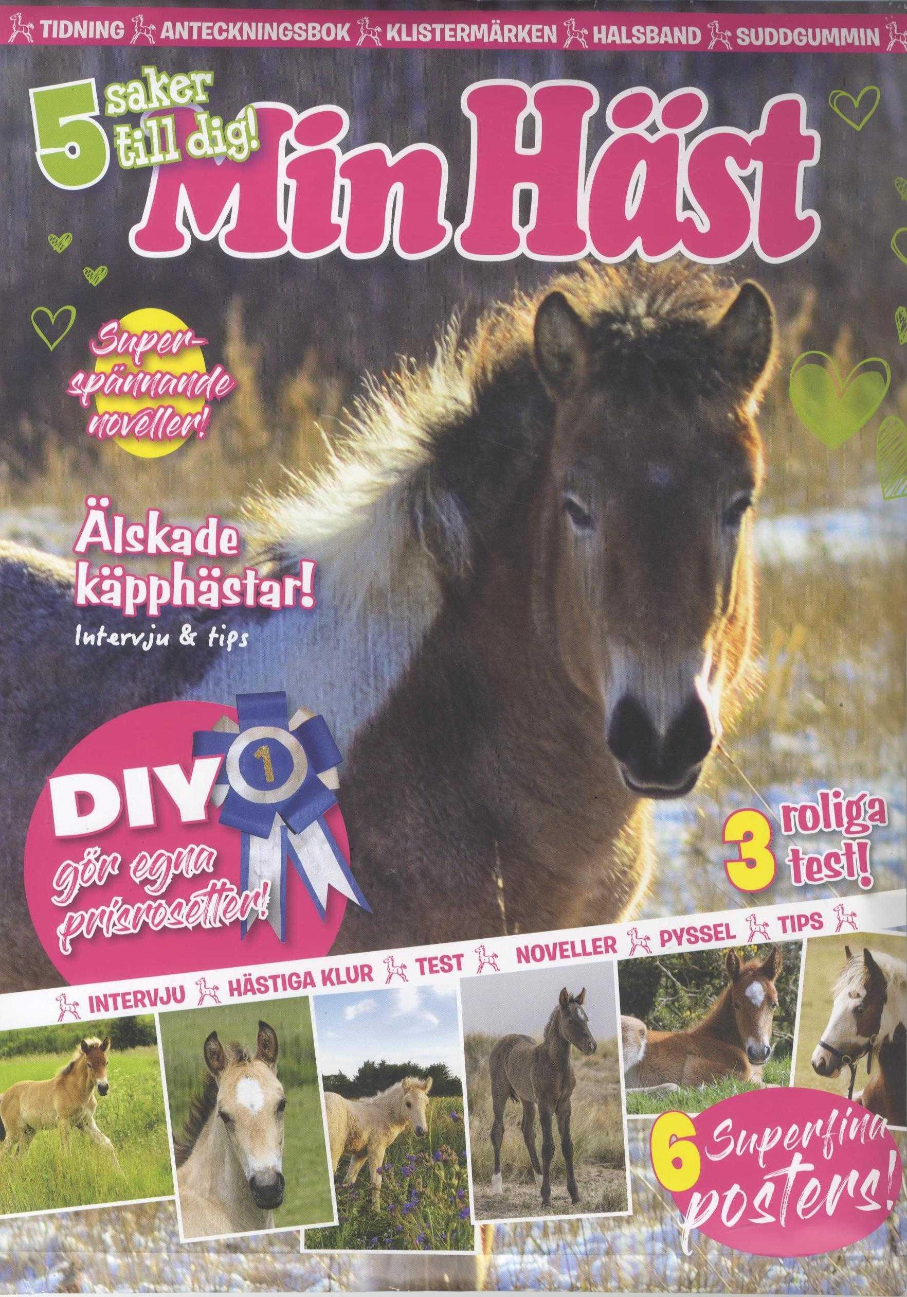 Min Häst Presentpåse nr 1 2022, Anteckningsbok, Klistermärken, Halsband mm