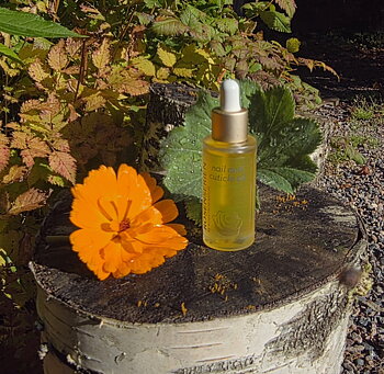 Nail & cuticle oil 10ml - Rosenserien 