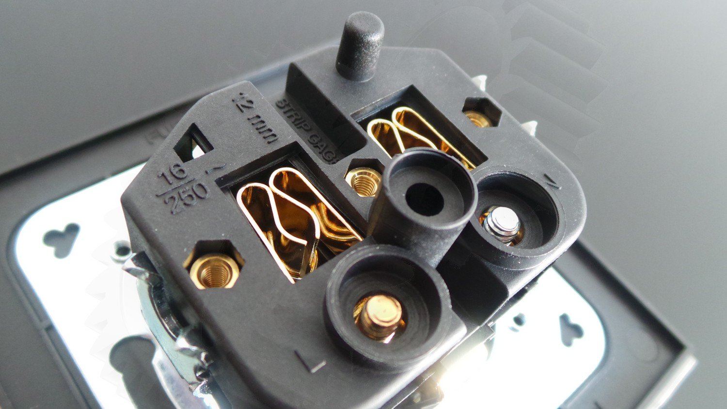 Furutech FP-SWS (G) - 3