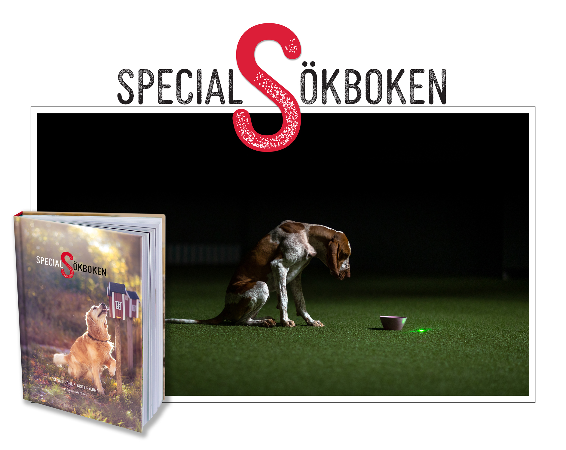 Specialsökboken - Helena Lindhe, Britt Nylund - 2