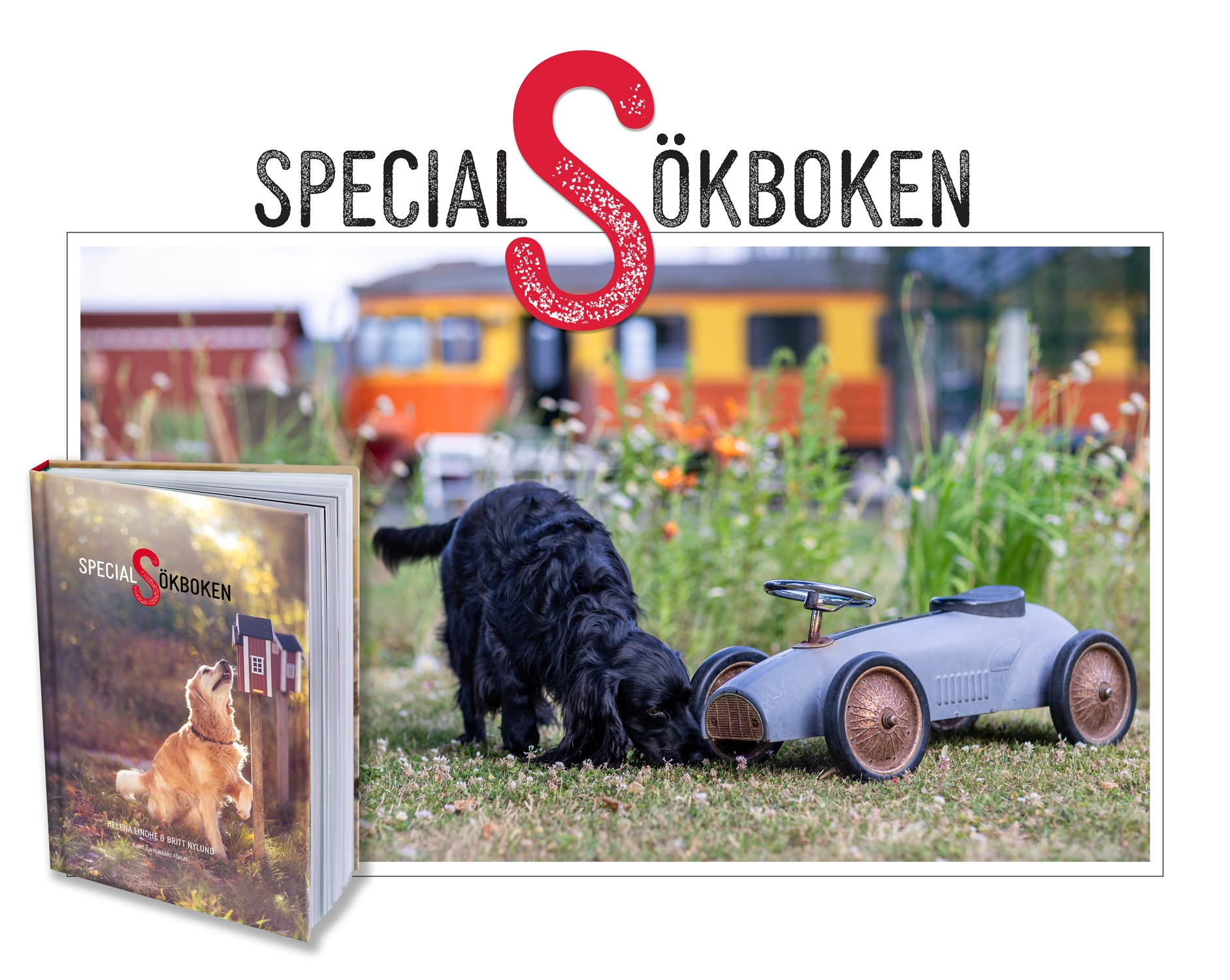 Specialsökboken - Helena Lindhe, Britt Nylund - 4