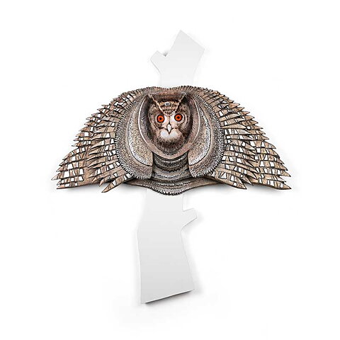 Night Flyer Ltd Ed