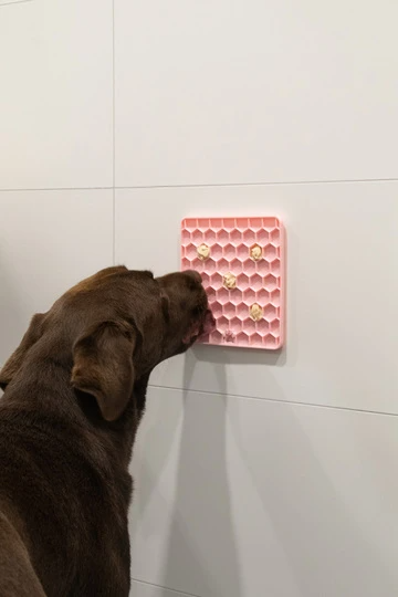 Eat Slow Live Longer Fun & Relax Lick Mat - 2