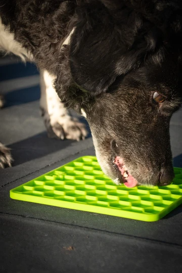 Eat Slow Live Longer Fun & Relax Lick Mat - 3