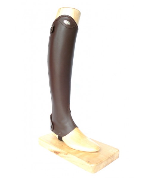 Parlanti Passion Shortchaps