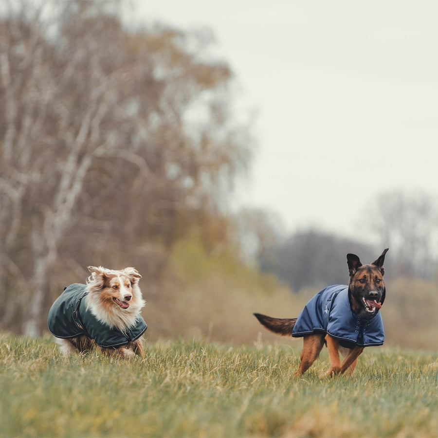 Back On Track Hundedecke Sunny - Blau