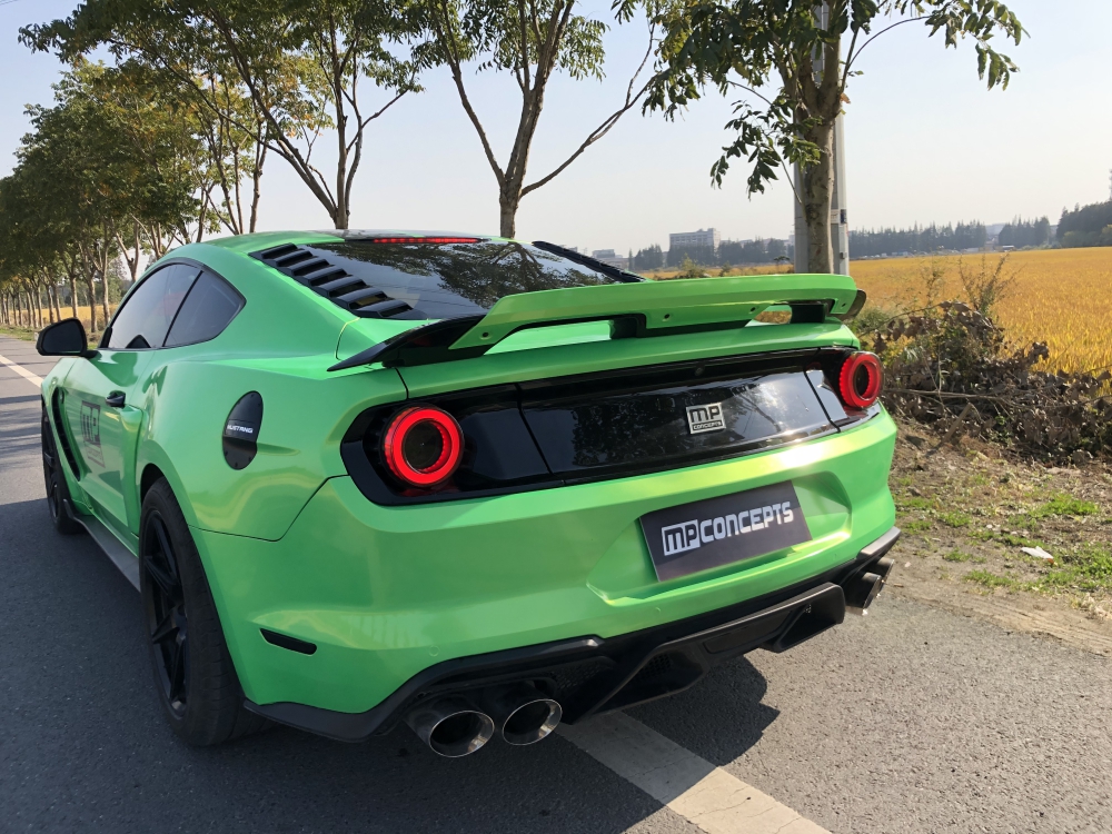 Gurney Flap För GT500/MACH1 Vinge (MUSTANG 15-21 Fastback) - 7