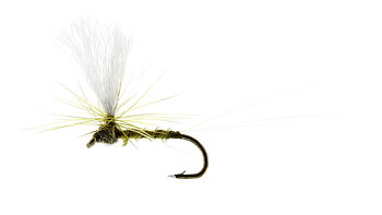 Baetis Dun Biot Olive 