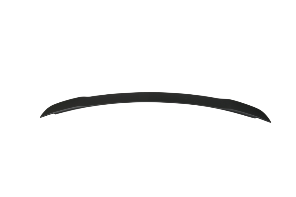 GT Style Spoiler (MUSTANG 15-21) - 4