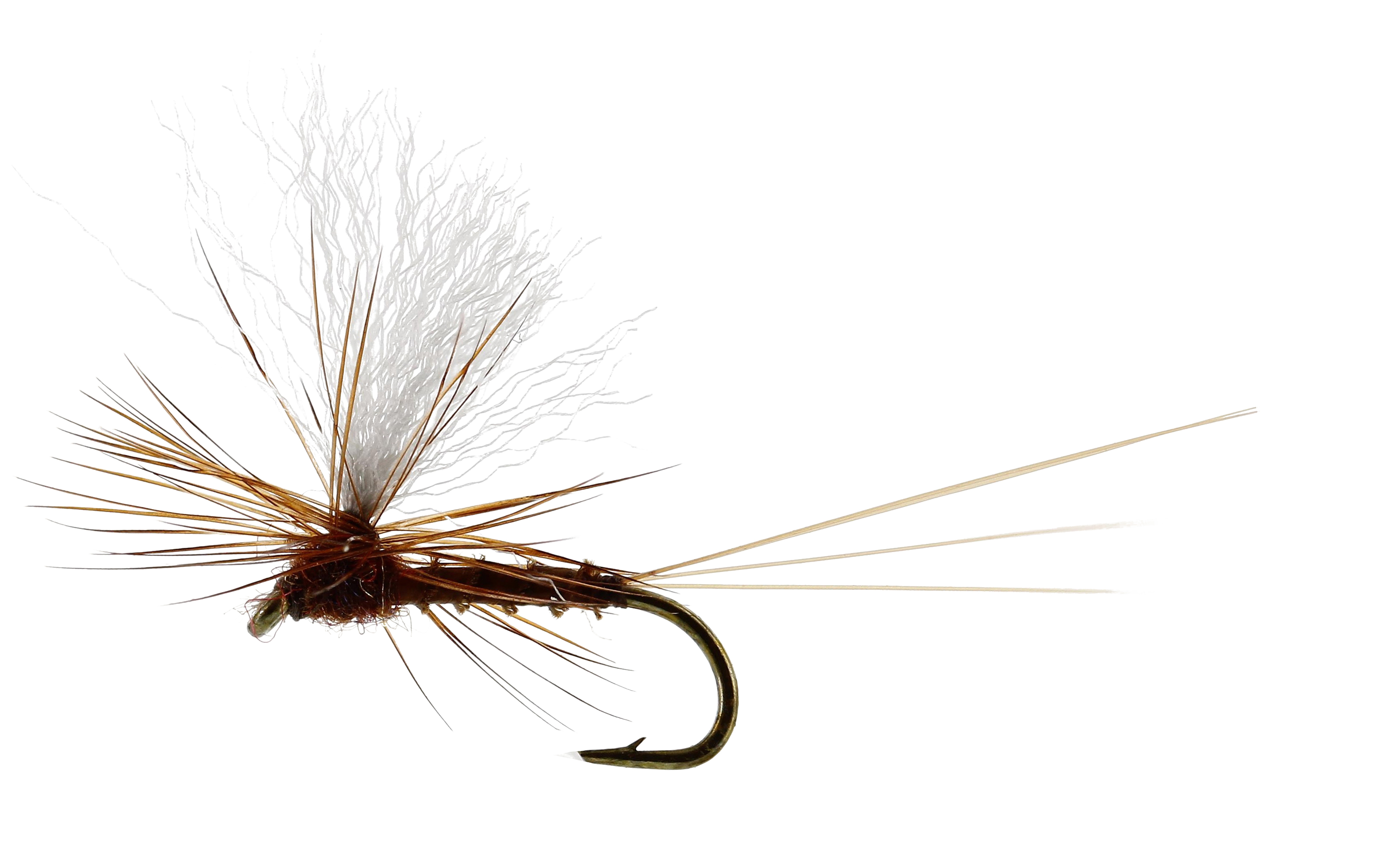 Vespertina Dun Biot Brown 