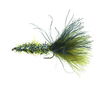 Børsteormen Peacock