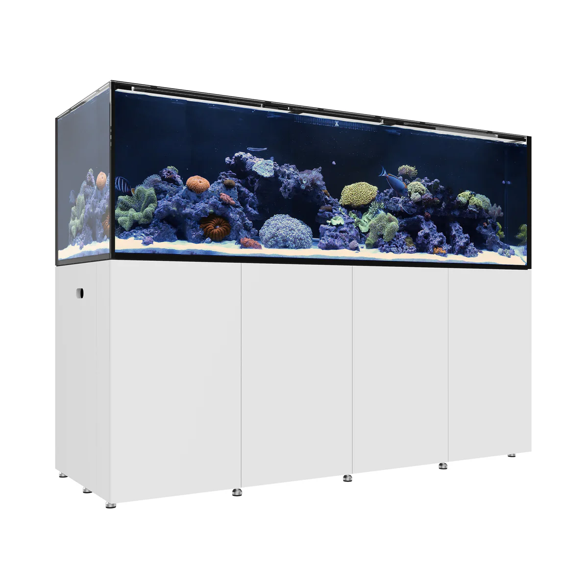 Waterbox REEF LX - 3