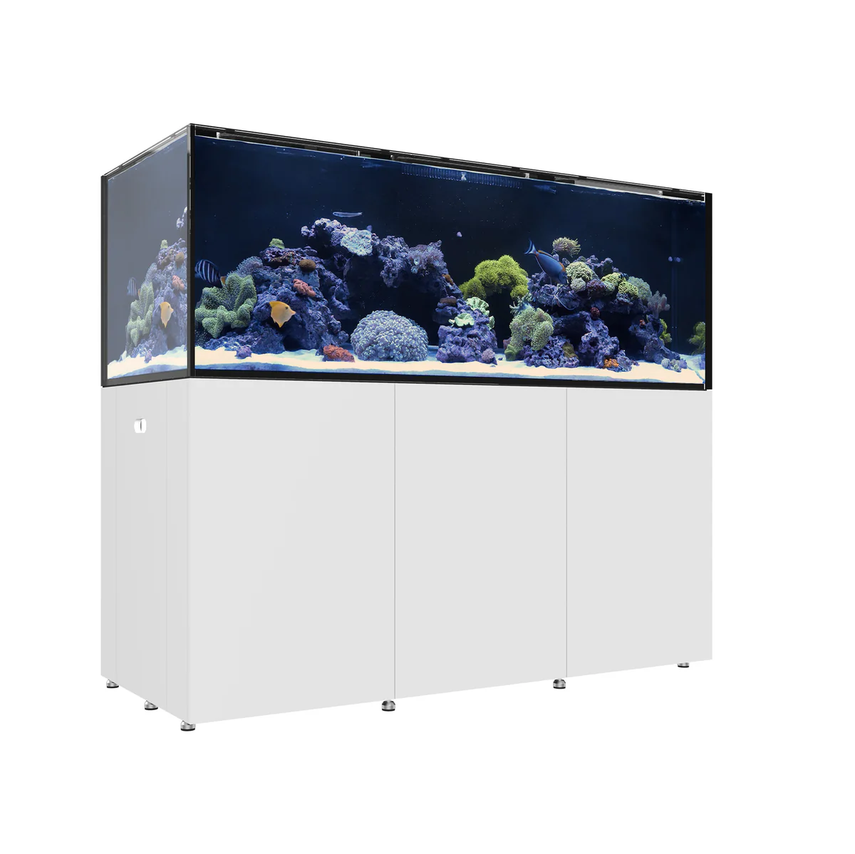 Waterbox REEF LX - 5