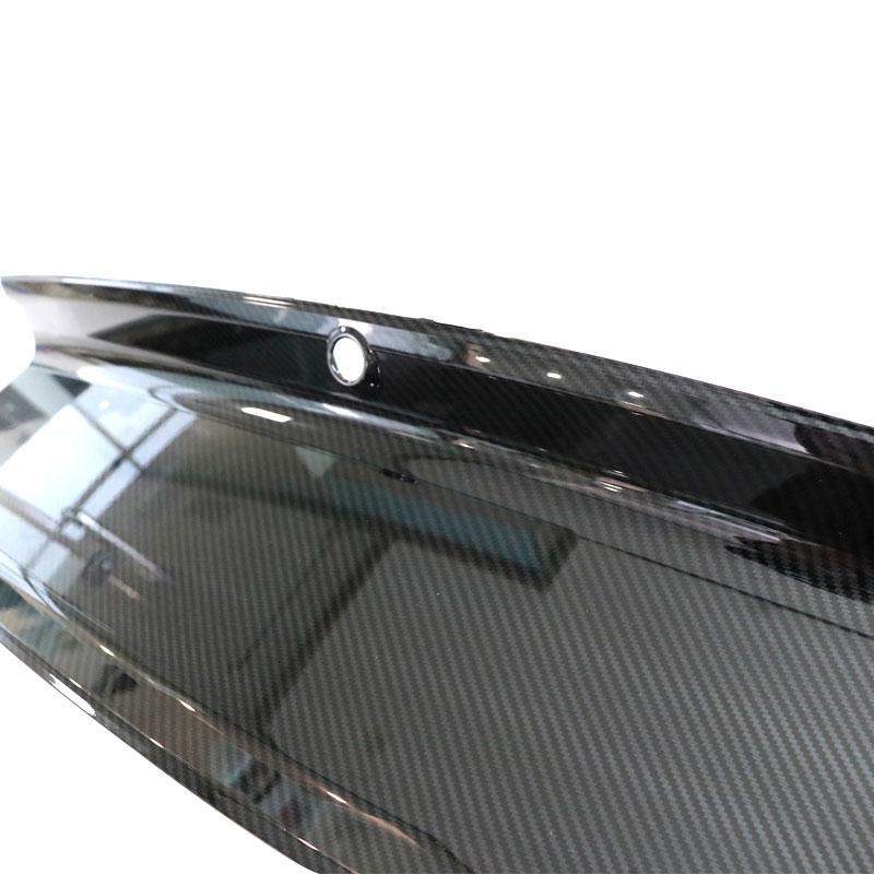 Decklid Panel - Carbon Print (MUSTANG 15-21 all) - 5