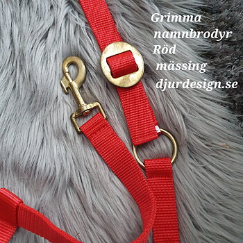 X-FULL Röd grimma mässing med namn / text brodyr 