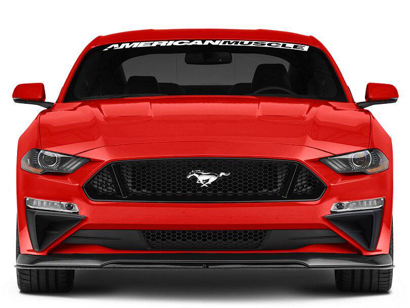 ROUSH Style Luftintag (MUSTANG 18-21 Ecoboost, GT) - 2