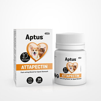 Aptus Attapectin 30 tabl