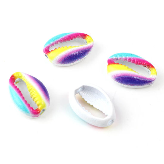 Charm  bead , snail conch, multimix