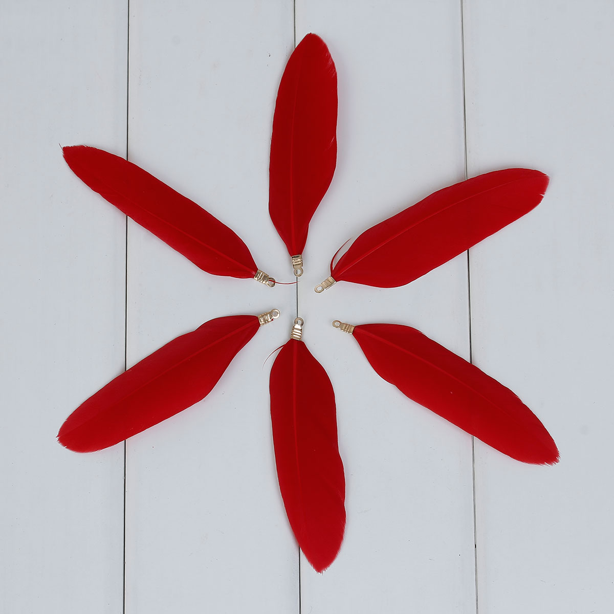 Charm  Goose feather Red 80mm
