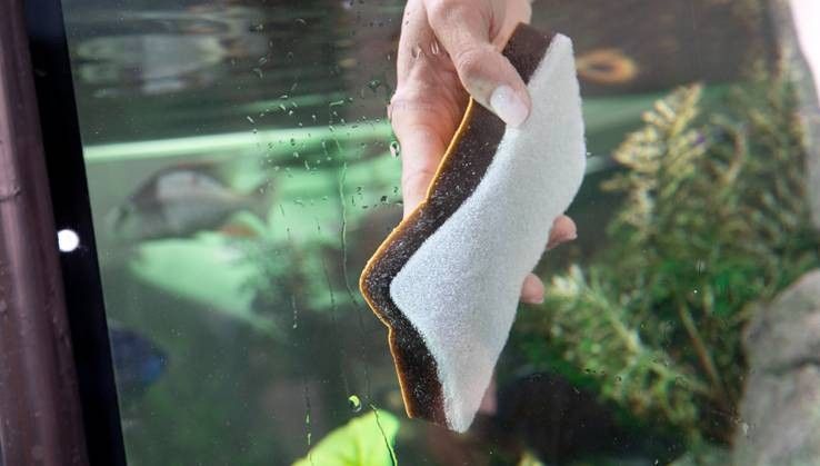 Cleaning sponge - 2