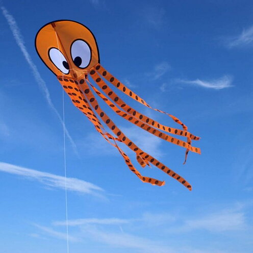 Ollie Octopus